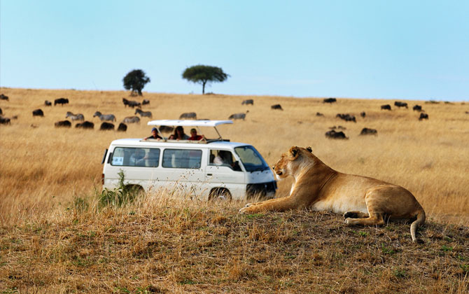 Afrika tatilinizde safari için en iyi 3 yer!
